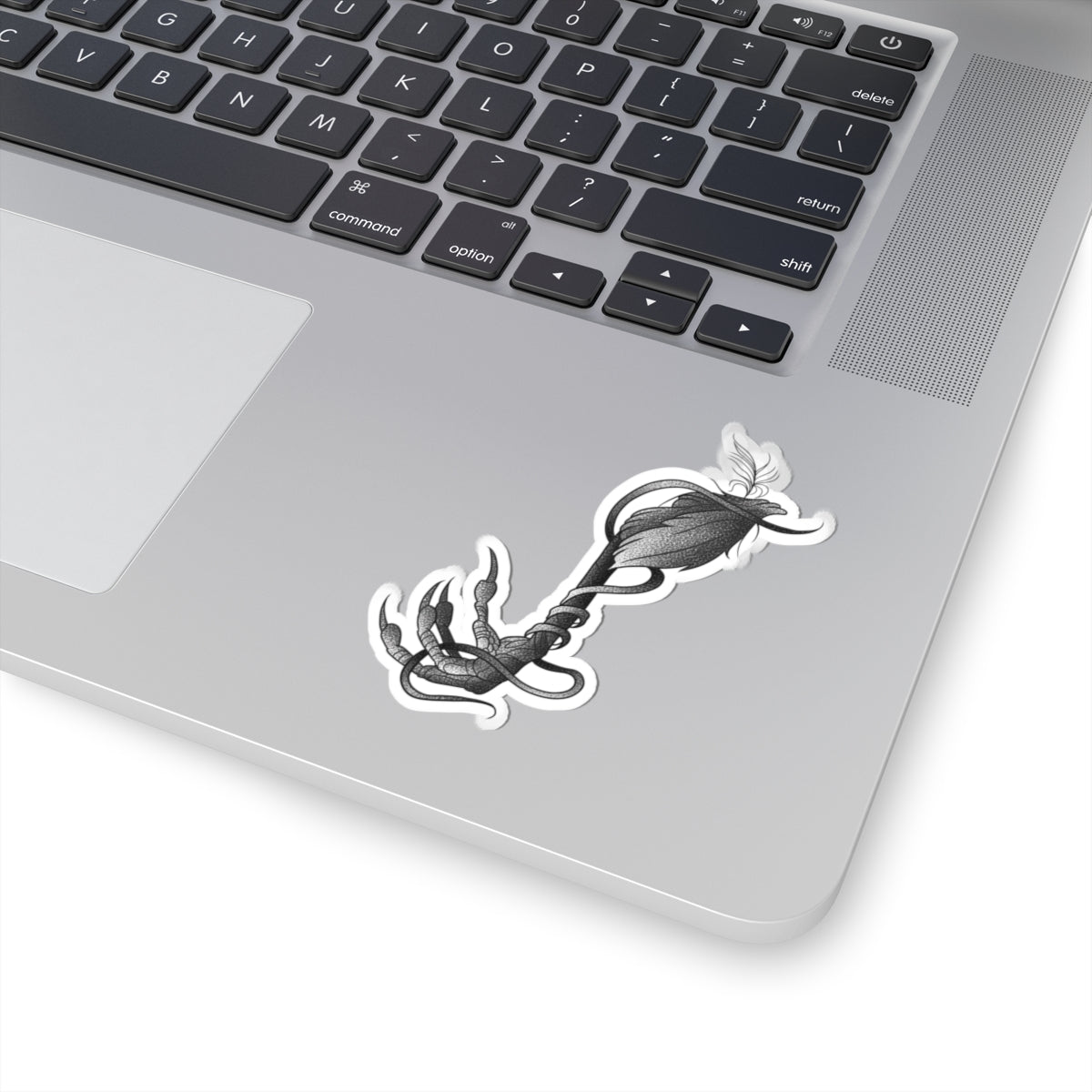 Gothic Claw & Feather Kiss-Cut Sticker — Dark Botanical Laptop Decal
