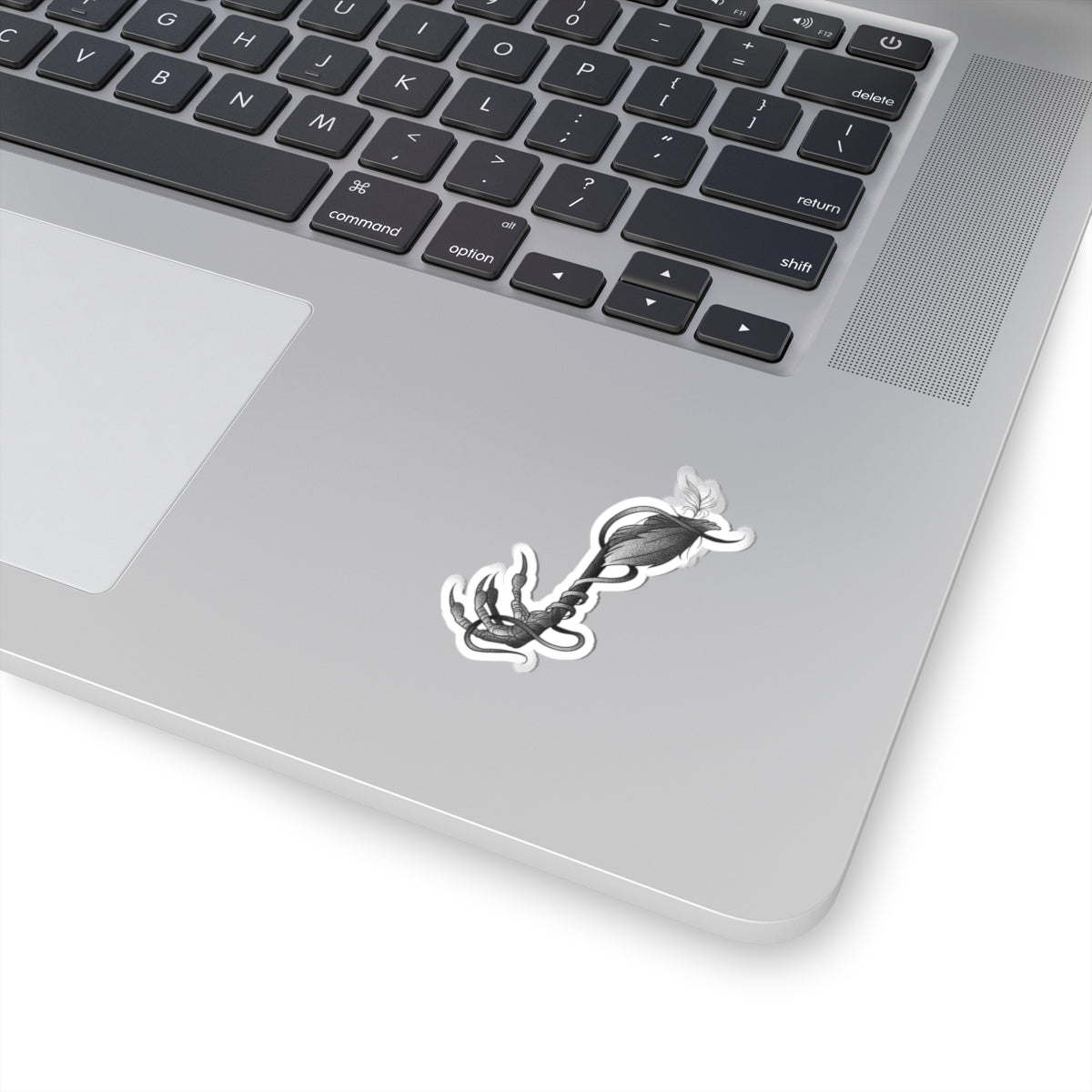 Gothic Claw & Feather Kiss-Cut Sticker — Dark Botanical Laptop Decal