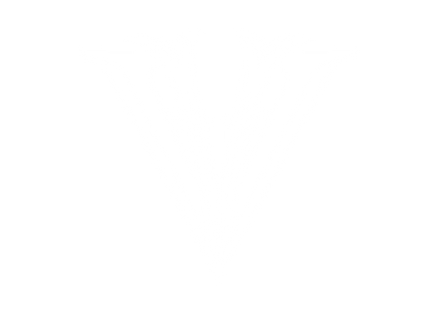 The Vintage Tattoo Shoppe